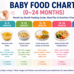 Baby Food Chart (0–24 Months) showing month-by-month feeding schedule, first foods, meal plans, portion sizes, and healthy nutrition for babies and toddlers.