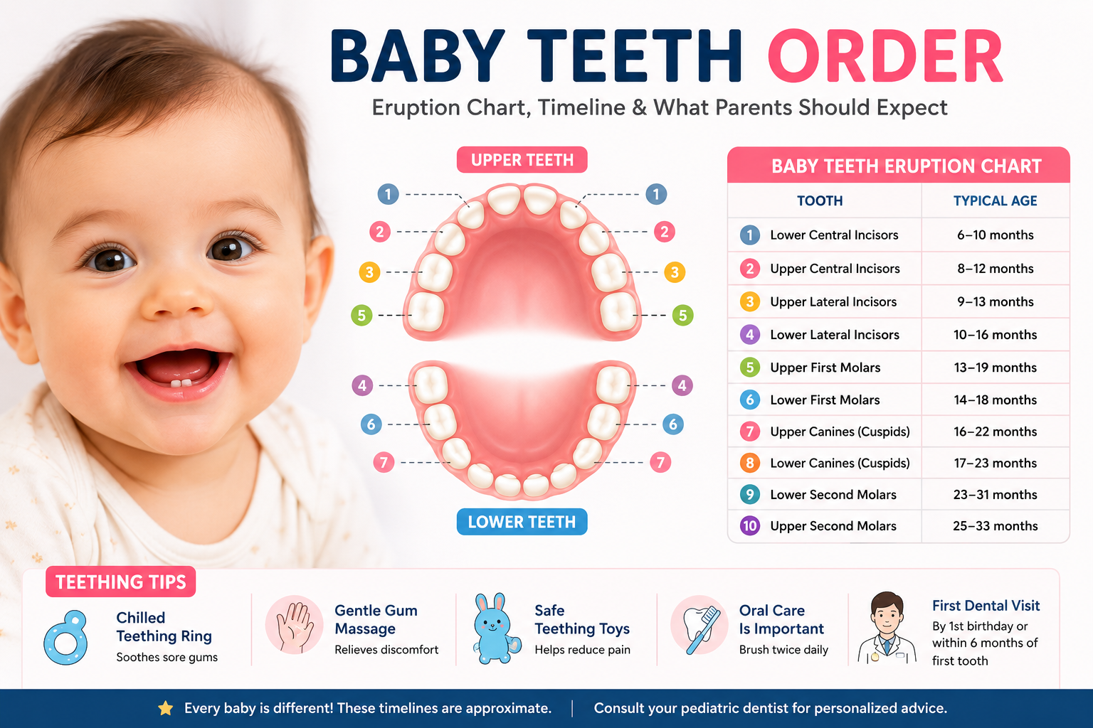Baby teeth order infographic showing the eruption sequence of primary teeth with an age-wise teething chart, symptoms and oral care tips for infants.